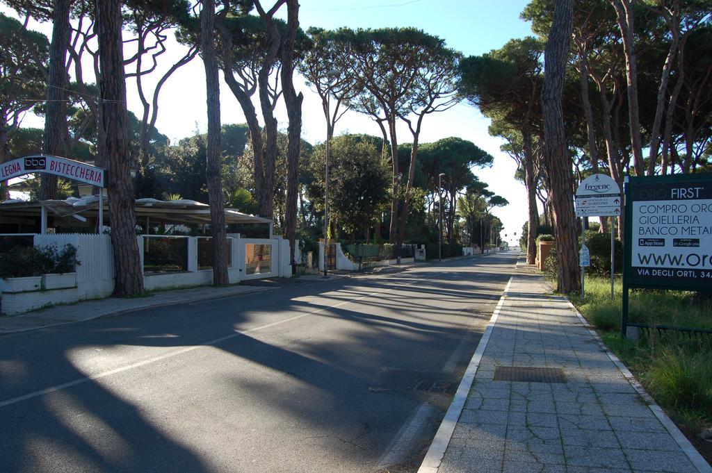 Le Coin Vert Fregenae Oda fotoğraf