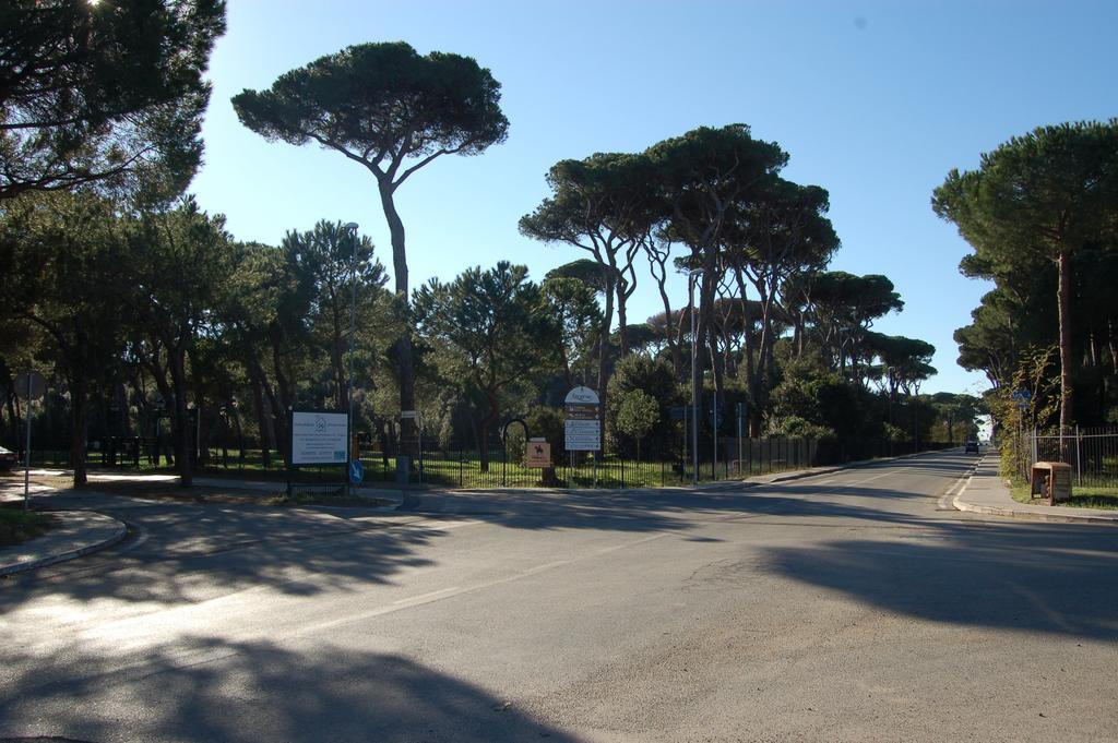 Le Coin Vert Fregenae Oda fotoğraf